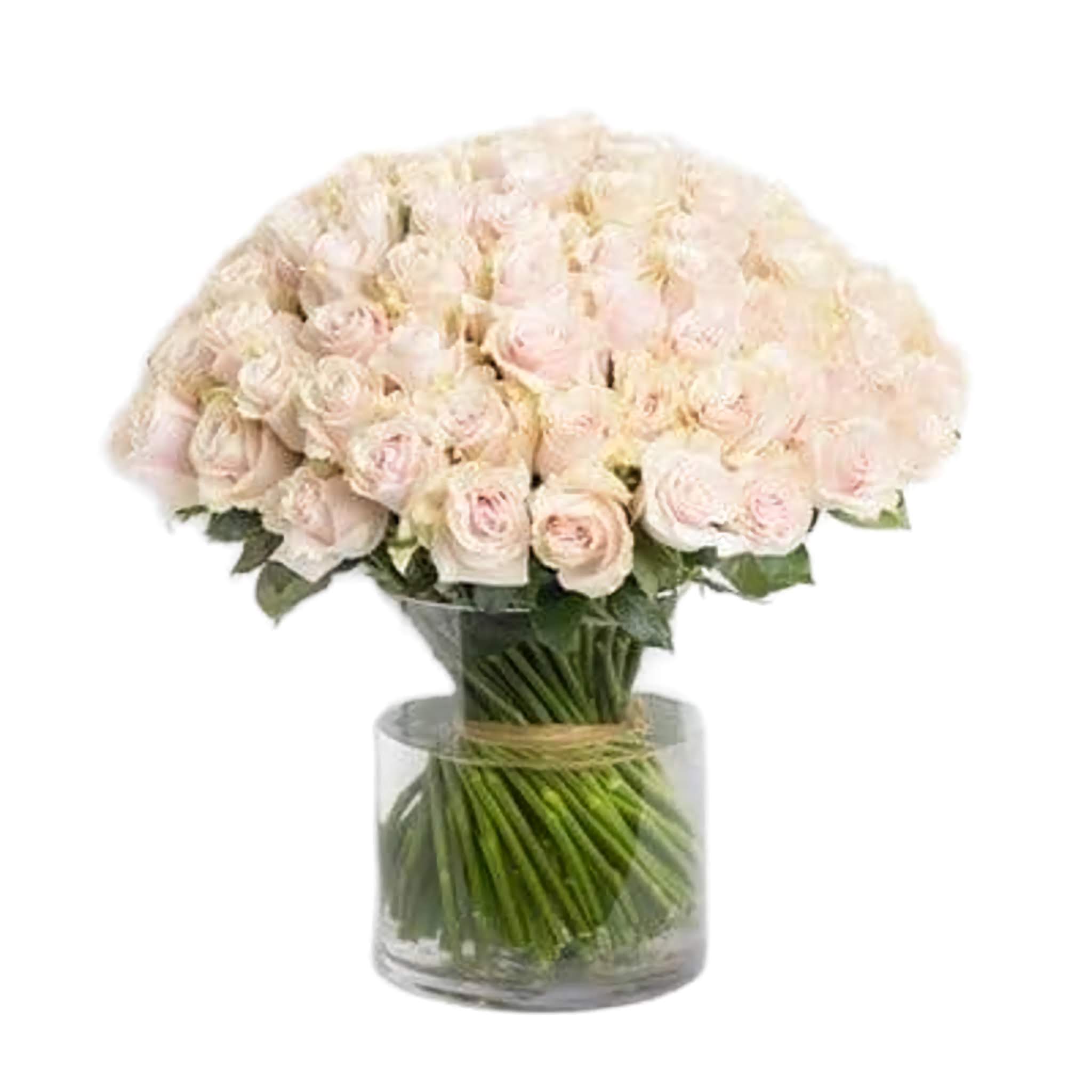 100-Pink-Roses-vase Send a vase of 100 pink roses to express gratitude, joy, and happiness. Ideal for birthdays, love and romance, showing appreciation, or surprising someone.