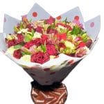 Unleash joy with our 