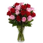 Embrace the beauty of harvest time with our flower vase of two dozen pink and red roses. A symbol of abundance and love in every flower