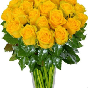 Spread the cheering bouquet with our vibrant bouquet! Two dozen yellow roses in a clear vase. The perfect gift to brighten someone's day. #CheeringBouquet