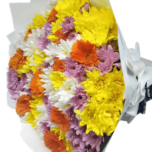 A beautifully wrapped Shantel Mix Bouquet featuring a vibrant mix of yellow, orange, pink, and white chrysanthemums and gerbera daisies, perfect for any occasion.