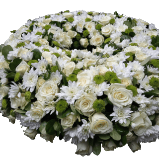 round funeral wreath of white roses, green and white chrysanthemums
