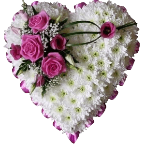  Heart Shape Tribute Wreath with pink ribbon, pink roses, baby's breath, ferns and white chrysanthemums delivered in Nairobi, Kenya
