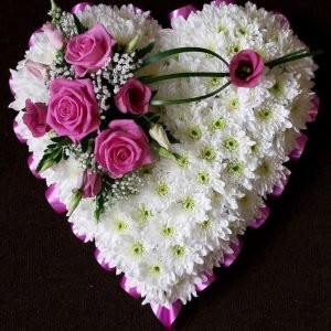  Heart Shape Tribute Wreath with pink ribbon, pink roses, baby's breath, ferns and white chrysanthemums