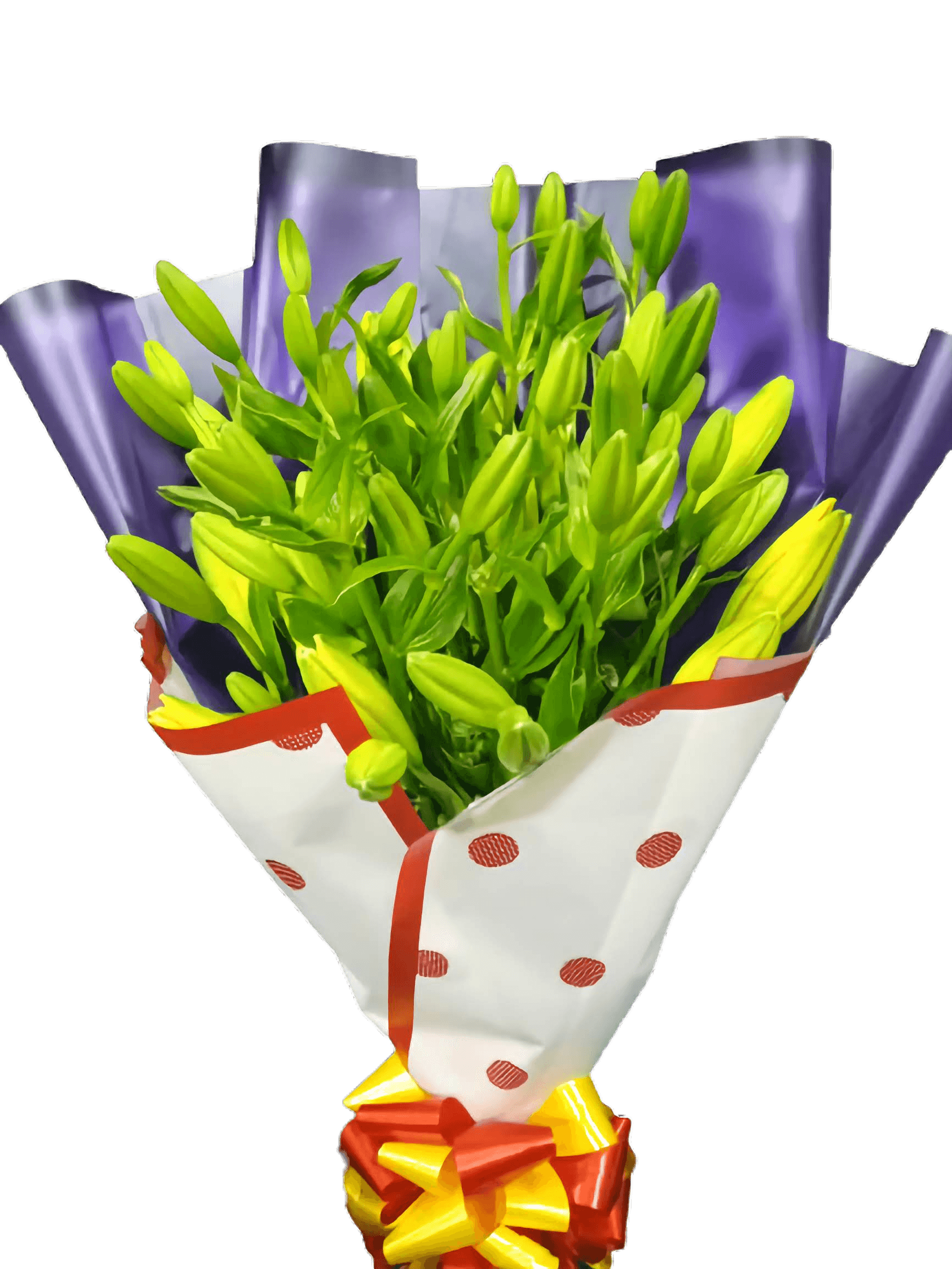 Lilies-Bouquet Discover Lily Bouquet, elegance in Nairobi with our stunning 20-stem of lilies flower bouquet collection. Elevate any occasion with the timeless beauty of lilies.