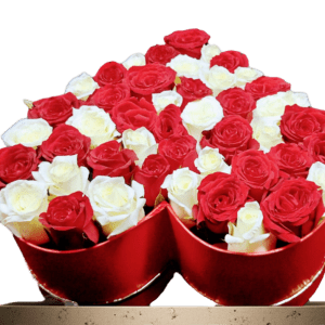 A heart-shaped box arrangement filled with a beautiful mix of red and white roses, elegantly displayed with a soft lighting backdrop.