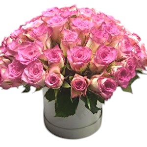 A lavish bouquet of fresh pink roses, ideal for sending love and joy on special occasions like birthdays, anniversaries, or as a thoughtful surprise.